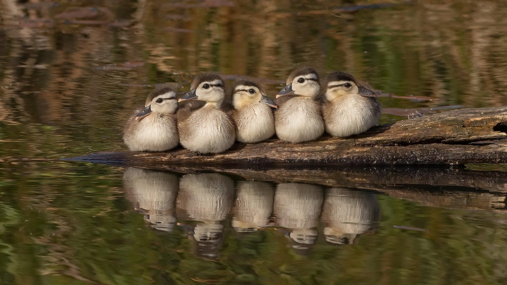 中国足球主力球员稳定性评估,中国足球个人实力排名