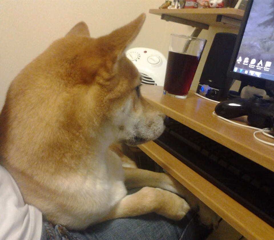 中国足球主力球员稳定性评估,中国足球个人实力排名