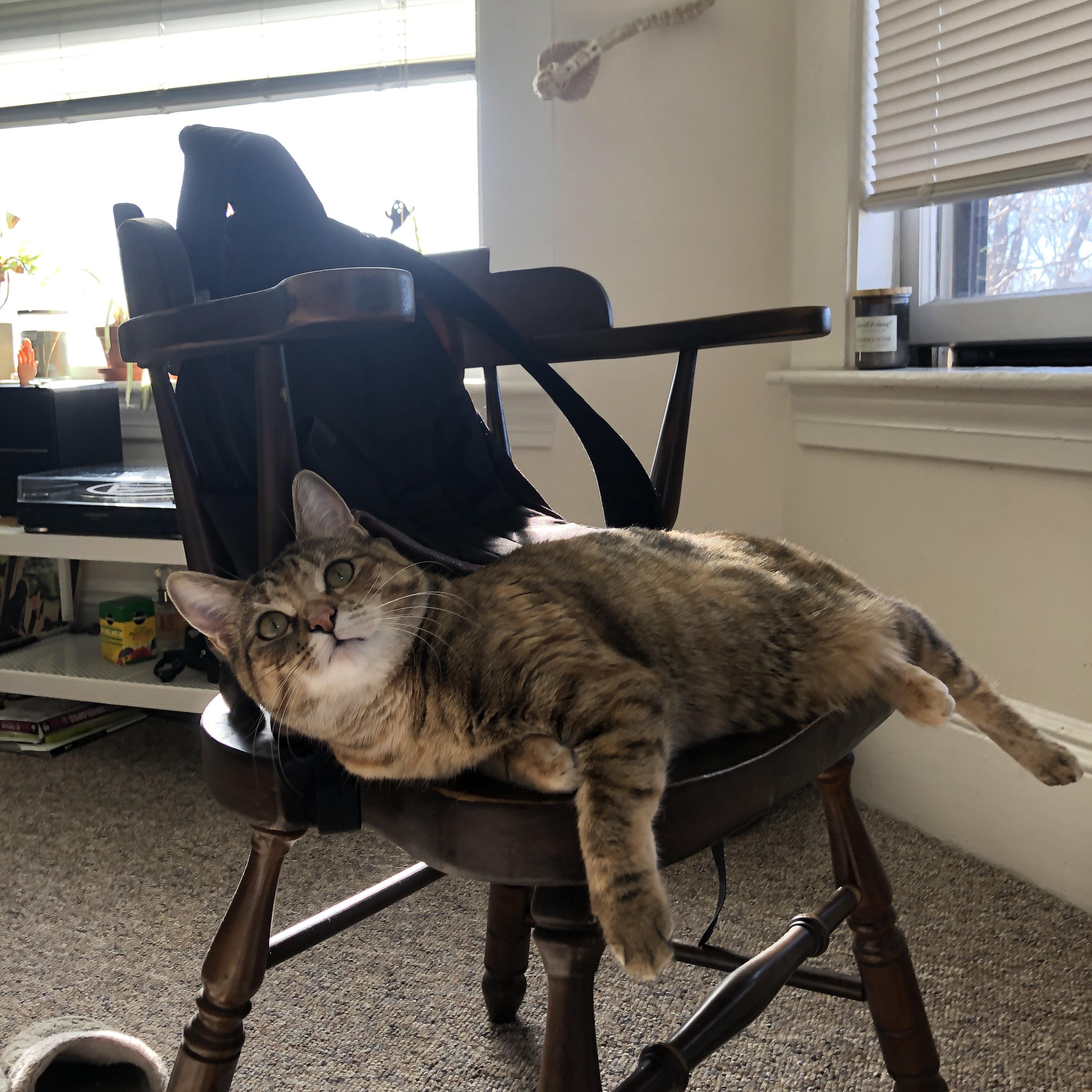 华体会网址-中国足球主教练更替周期趋势研究，中国足球的主教练是谁