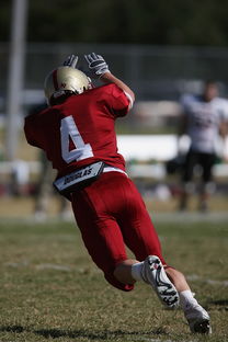 华体会网站-德甲球队视频分析辅助防守站位调整的实证研究，德甲身体对抗