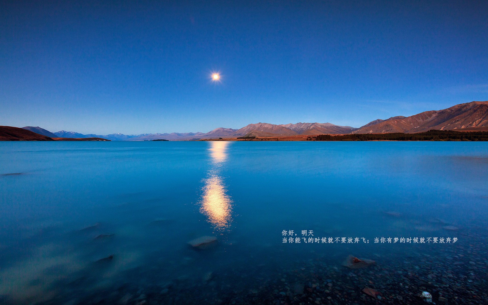 -篮球专项技能动作捕捉技术研发及应用研究，篮球抓拍技巧