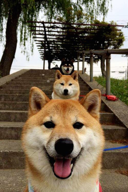 篮球运动员专项技能训练课程体系优化与教学方法研究,篮球专项素质训练方法