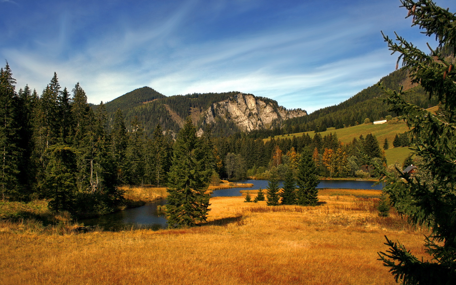 高校体育科研项目管理体系优化研究，高校体育科研项目管理体系优化研究报告