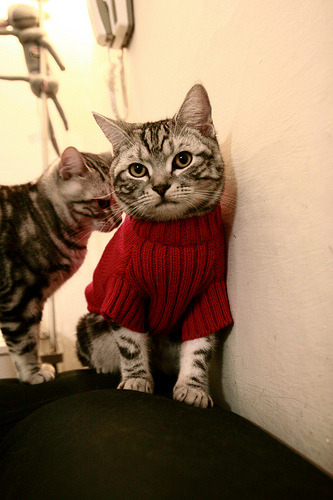 中国篮球人才流失问题引发外界担忧,中国篮球人才流失问题引发外界担忧的原因