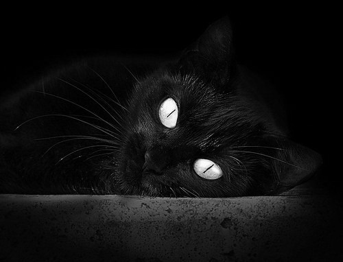 裁判判罚标准国际接轨提升公平性,国际比赛裁判语言