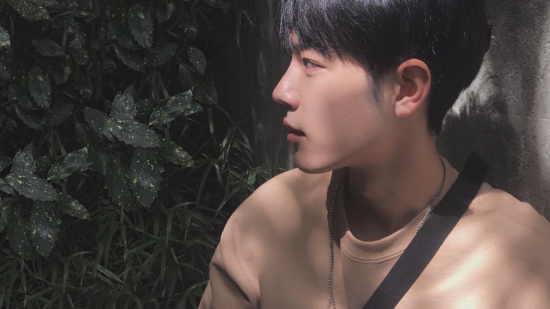 中国女子4×200米自由泳接力决赛摘铜,女子4×200米自由泳接力决赛视频央视网