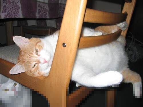 华体会在线登录-国家体育文化研究所发布体育题材文艺作品创作扶持计划，国家体育文件