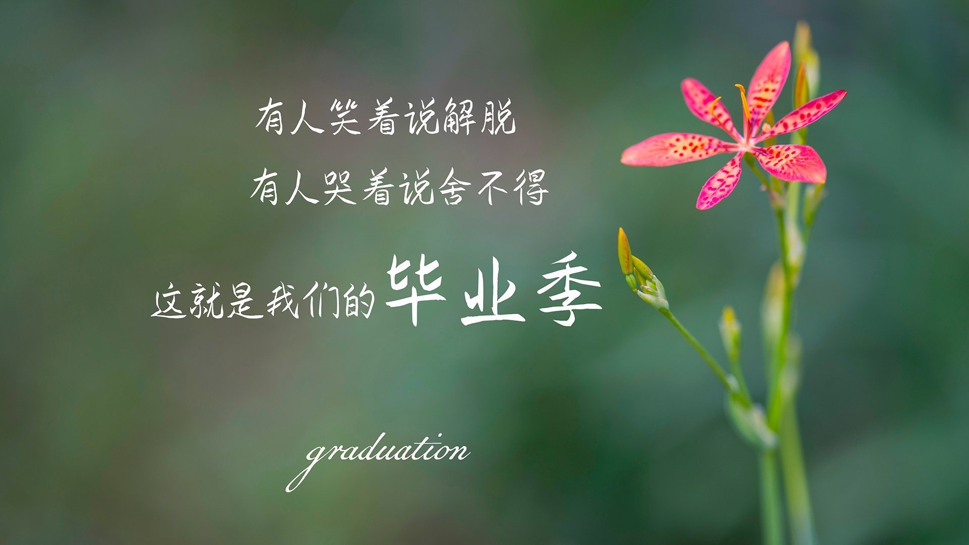 两学生伤亡，东兴中学事件震动社会，东兴中学在哪