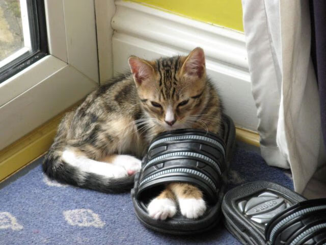 华体会官方网站-中超联赛俱乐部财务风险管理，中超俱乐部支出