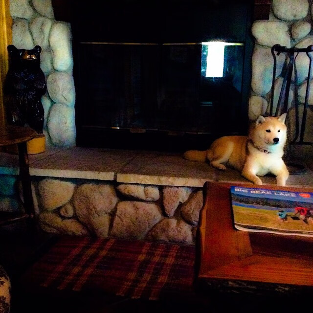 从赛场女王到新领域跑者,惠若琪超燃转型!,惠若琪专访视频